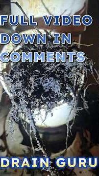 TREE ROOTS VS DRAIN SNAKE MASSIVE BATTLE WE ALMOST LOST