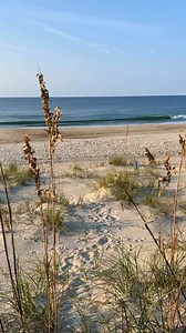6.3K views · 169 reactions | A walk along the coast of Emerald Isle, where the ocean breeze carries your worries away. #emeraldisle #coastalliving #beach #beaches #ocean #thecrystalcoast #crystalcoast | Emerald Isle Realty, Inc. | Facebook