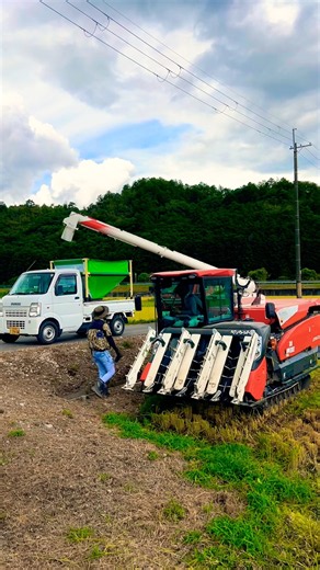 再生二期作用の田んぼを刈り取り‼️ #kubota #harvester #harvesters #コンバイン #combine #農業 #農家 #割倒#割稲 #現代農業 #farming