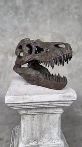 Brown T-rex Skull Resin Sculpture: Dinosaur Fossil Replica, Interior Inspiration - RS005 - Etsy UK