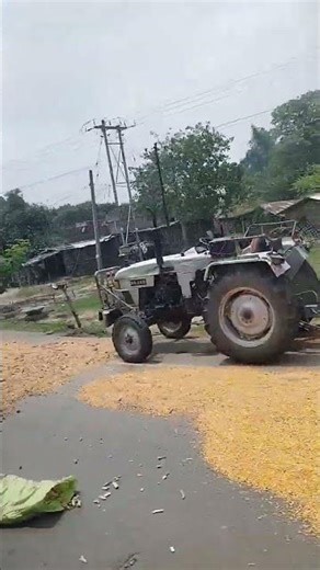 #road #bus #travel #makka #farmer #hardwork #yellow maze kitna Sara makka road kai side mai h #view