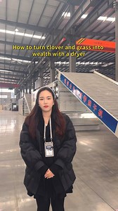 Automatic continuous drying equipment can process various vegetables, fruits, herbs, and hemps etc. #dryingmachine #dryermachine #foodprocessing #vegetables #fruits #hemp #guoxinmachine #fyp #fypppppppppppppp | Drying machine