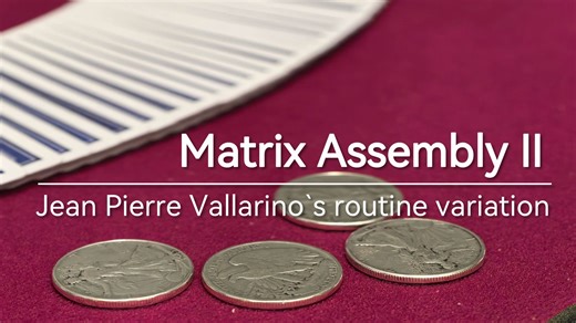 【硬币魔术】Matrix Assembly 2