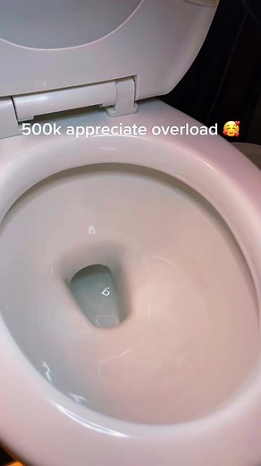 500k appreciation toilet overload!!part1/3#asmrvideo#cleantiktok#satisfaction#SmartfoodClub#fypviralシ