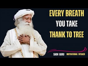 How a Tree Breathes Life Into You Every Moment | Unlock Nature’s Silent Wisdom