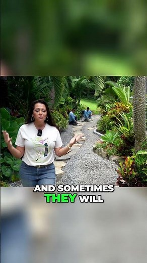 Unlock the Secrets to a Perfect Pathway with MIXED Stone Sizes!