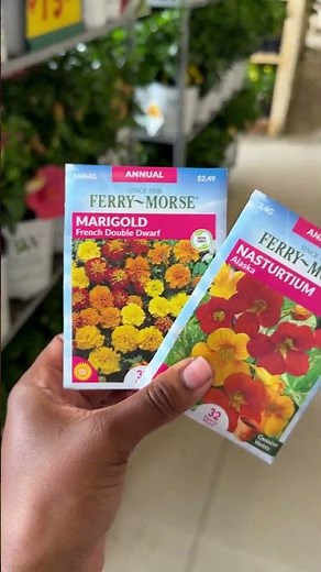 2 Plants Every Beginner Should Start From Seed