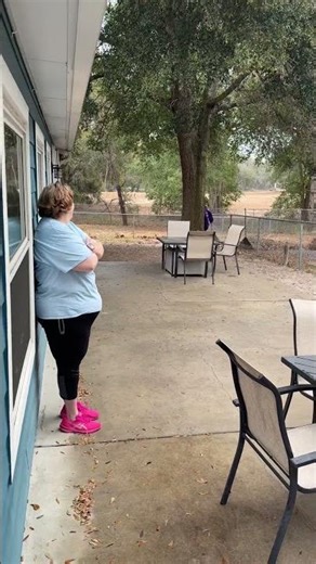 Autism service dog task training - find me