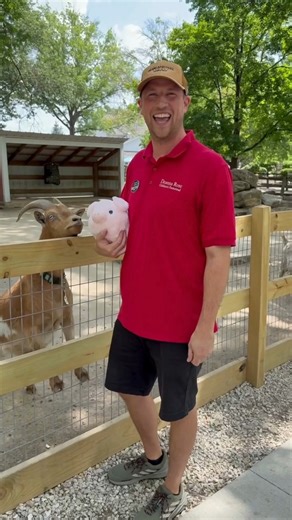 8.7K views · 102 reactions | Just a die-hard fan who happens to wear the uniform, carry supplies and know exactly where everything is. Coincidence? 藍 ‍ | Deanna Rose Children's Farmstead | Facebook