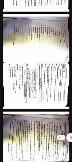 Introduction to SEO in 10 Minutes 💥 | Rank Websites Like a Pro | Class 12 HSC IT Digest Notes 2026