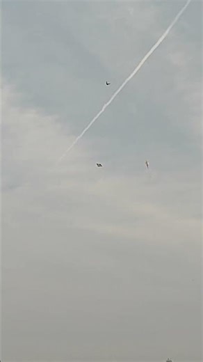 Sky Full of Kites | Colors Dancing in the Wind