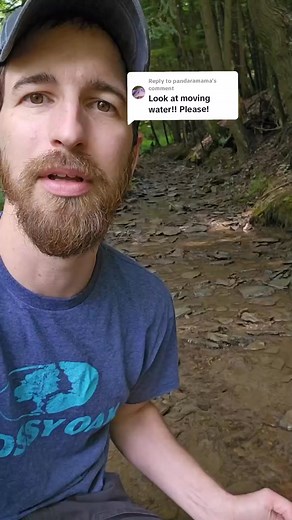 16K views · 149 reactions | Comparing running stream water and stagnant pond water under a microscope  #outdoors #survival #microscope #microorganisms #camping #waterpurification #outdoorlife | Bushcraft Life | Facebook