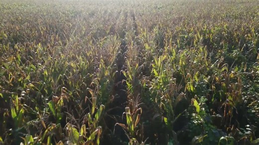 Warning signs of an approaching financial crisis