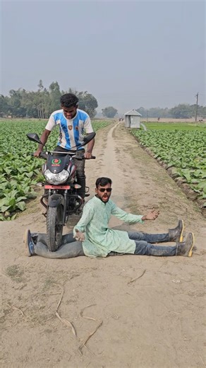 The benefits of taking a car