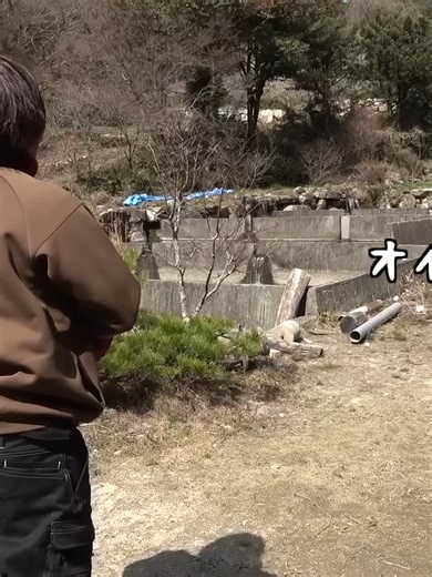 【山復興第2弾#81】約200坪の土地を重機を使って整地していく！！ #04