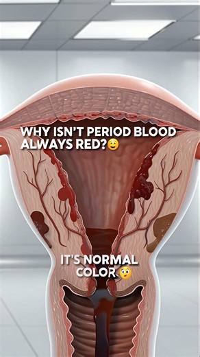Why Period Blood Isn’t Always Red 😳 (Explained) #anatomy #shorts #education