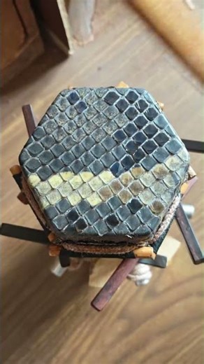 二胡琴皮处理全过程 | Chinese Instrument: Erhu | Python Skin Processing#二胡 #erhu