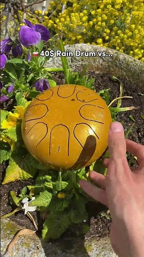 Rain Drum music in my Garden… 🥁🥰👀