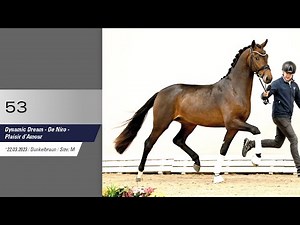 53 Hengst v Dynamic Dream - De Niro
