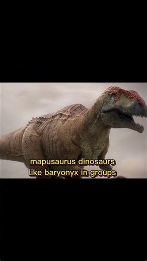 mapusaurus carnivorous dinosaur, relative of gigatosaurus and carc