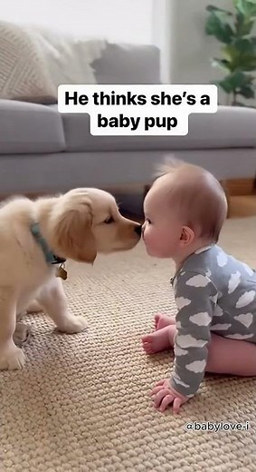 Gentle Buddy! Puppy Thinks Baby is a Pup 🐶