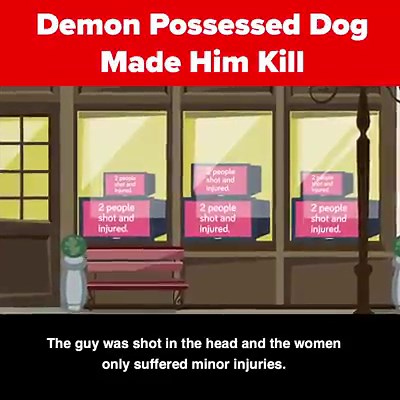 This next killer is a very bizarre one that claims to have taken his instructions to kill from a demon possessed dog. In today's educational animated cartoon we look at the notorious Son of Sam killer and how the police were able to catch up with him and put him behind bars. | The Infographics Show