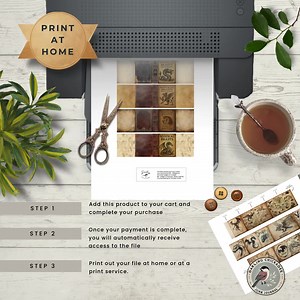 Mystical Beasts Field Notes Mini Books 4 Mini Books – Printable Journal Set | Printable Mythical Creatures Ephemera | Fantasy Pages - Etsy