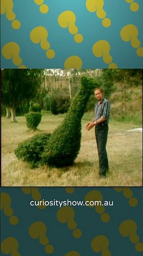 A Look At Topiary Beasts