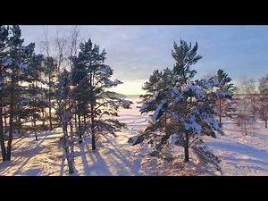 Echoes of Joy Choir performs "O Come All Ye Faithful"