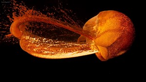 38K views · 2.4K reactions | Our moon likely formed in a few hours, new simulation shows. | Hashem Al-Ghaili | Facebook