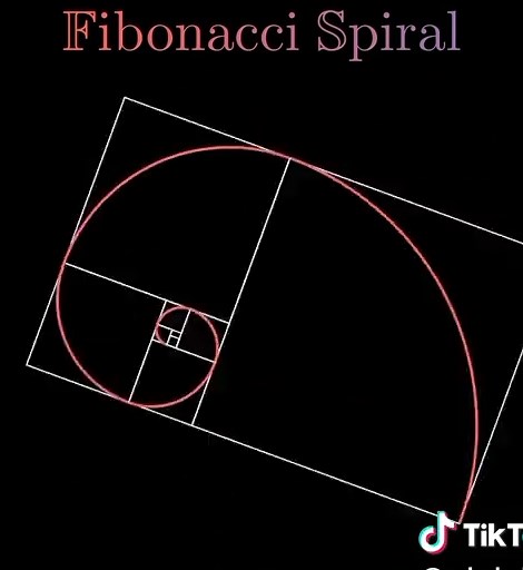 Exploring the Fibonacci Spiral and Golden Ratio