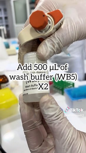 DNA Extraction Techniques in Molecular Biology