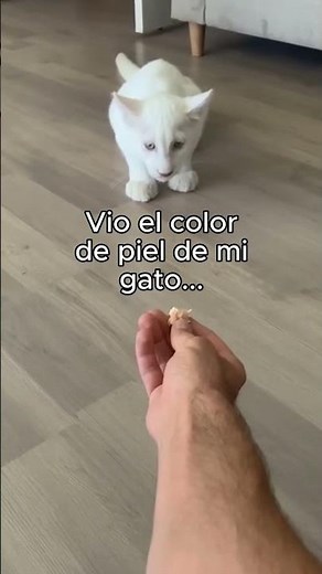 Encontró un hogar ❤️ #animales #animal #naturaleza #bonito