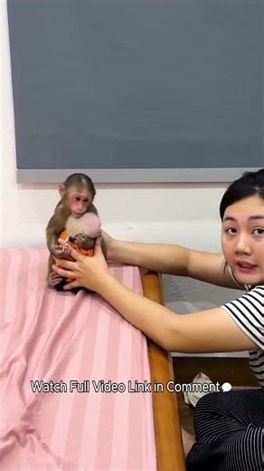 Lala and the baby monkey are worried and run away after breaking Mom’s vase!