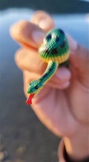 Toy Anaconda अचानक ज़िंदा हो गया 😲 | सच या मज़ाक?