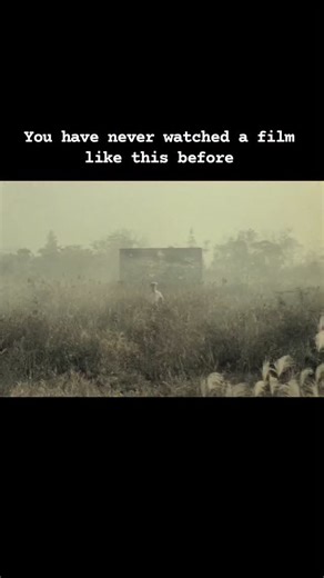 Cinemaaoftheworld | Grass Labyrinth (1979) is a psychological fantasy film directed by Shūji Terayama. The film tells the story of Akira, a young man... | Instagram