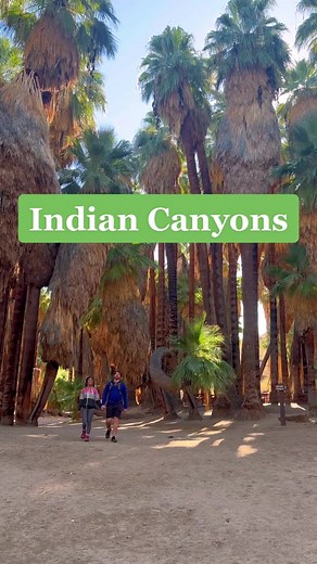 Visit Palm Springs on TikTok