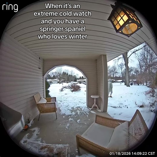 It’s dangerously cold outside… Sherlock said ‘sounds like a YOU problem’ ❄️🐾 #foryoupage #fyp #dog #funny #wisconsin