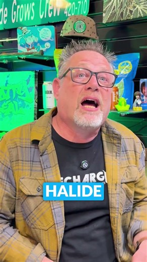 Why are growers switching from HPS to LED? It’s not just power savings.