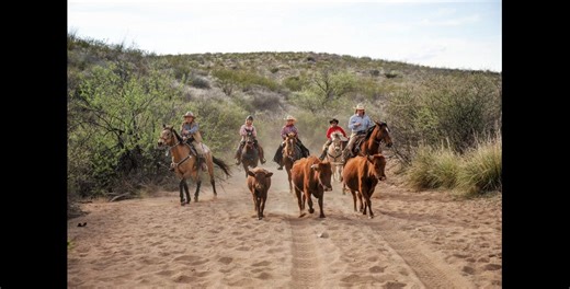 Arizona is among the top places to visit in America, and its Office of Tourism unabashedly credits its magnificent natural beauty with making tourism the state’s number one export industry. So, how awesome would it be to see some of the best of the Old West from between a horse’s ears? It’s possible. Curated experiential trip experts like Active Riding Trips – which hasn’t offered a horseback riding trip since 2003 that President Stacey Adams hasn’t personally tried out first – knows how popular