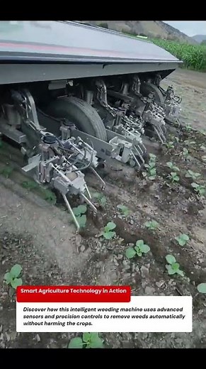 Smart Weeding Machine – AI-Powered Farm Technology for Precision Weed Removal 🤖