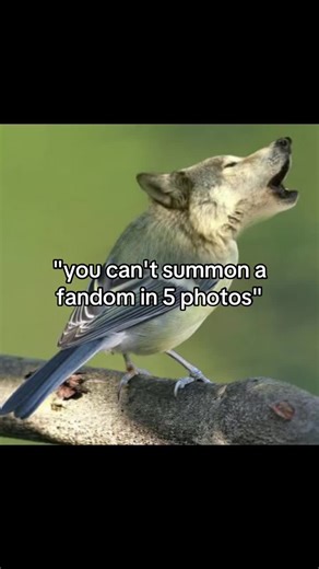 Understanding Wolves in Fandoms: A Bird Scene Analysis