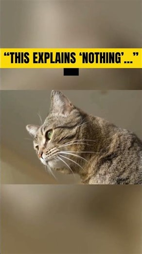 If Your Cat Does This… It’s Not Random 😳🐱