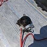 Brute Magnetics Wildebeest Magnet Fishing Kit | 4250 lb Double Sided Rare Earth Neodymium Magnet, Waterproof Case, 65ft Rope with Heavy Duty Carabiner, Gloves, and Threadlocker