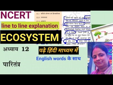 Ecosystem (पारितंत्र)Chap.12//NCERT biology Reading in Hindi Medium 🎯🔥#rpsc1stgrade #2ndgrade #neet