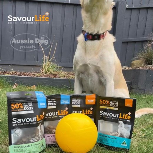 Shop at Aussie Dog Products and go in the draw to win a $500 SavourLife voucher $200 Aussie Dog voucher! Every order earns entries. The more you spend, the more chances to win. Winner announced on 19 December. | Aussie Dog Products