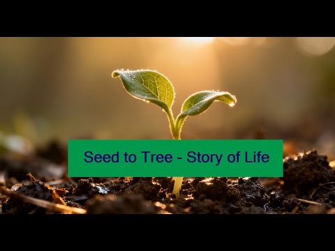 The Miracle of Growth: How a Tiny Seed Becomes a Giant Tree