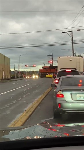 ( filmed by grandpa and grandma) BNSF and Sounder trains pass each other in Kent. Filmed on 11/1/21.