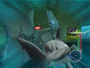 Great White Shark Vs Killer Whale & Dolphin (Jaws Unleashed Gameplay)