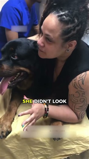 Dog & Owner cried a lot when they knew THIS will happen! 🤯 #sad
